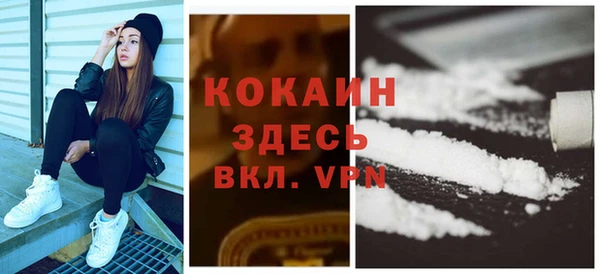 ПСИЛОЦИБИНОВЫЕ ГРИБЫ Каменногорск