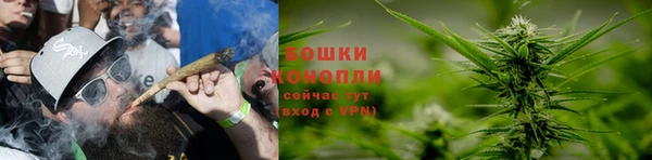 ПСИЛОЦИБИНОВЫЕ ГРИБЫ Каменногорск