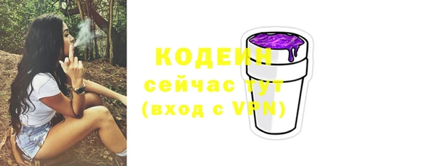 индика Дубна