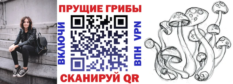 Псилоцибиновые грибы Psilocybine cubensis  omg ссылка  Карталы 