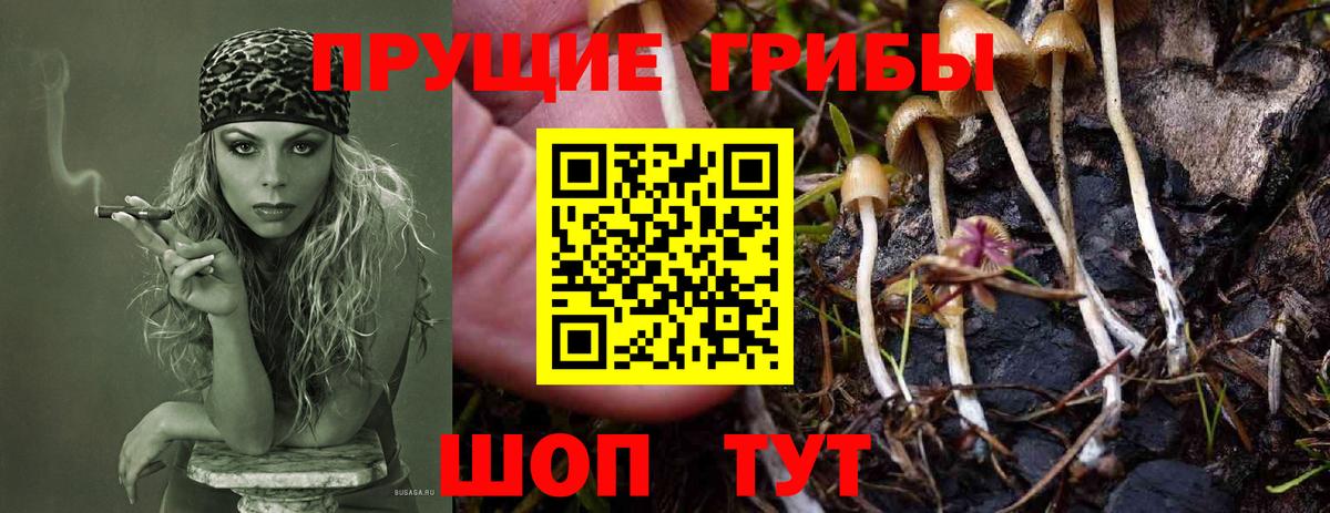 Карталы  Псилоцибиновые грибы GOLDEN TEACHER  Галлюциногенные грибы MAGIC MUSHROOMS  Вход с VPN 
