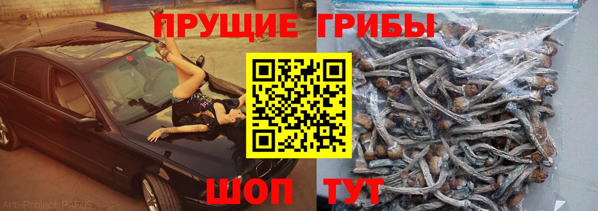 Псилоцибиновые грибы Magic Shrooms Карталы